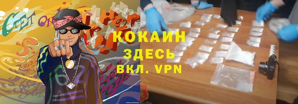 ешки Алексин