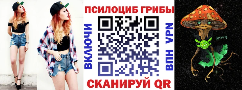 дарк нет состав  Бикин  Галлюциногенные грибы GOLDEN TEACHER 